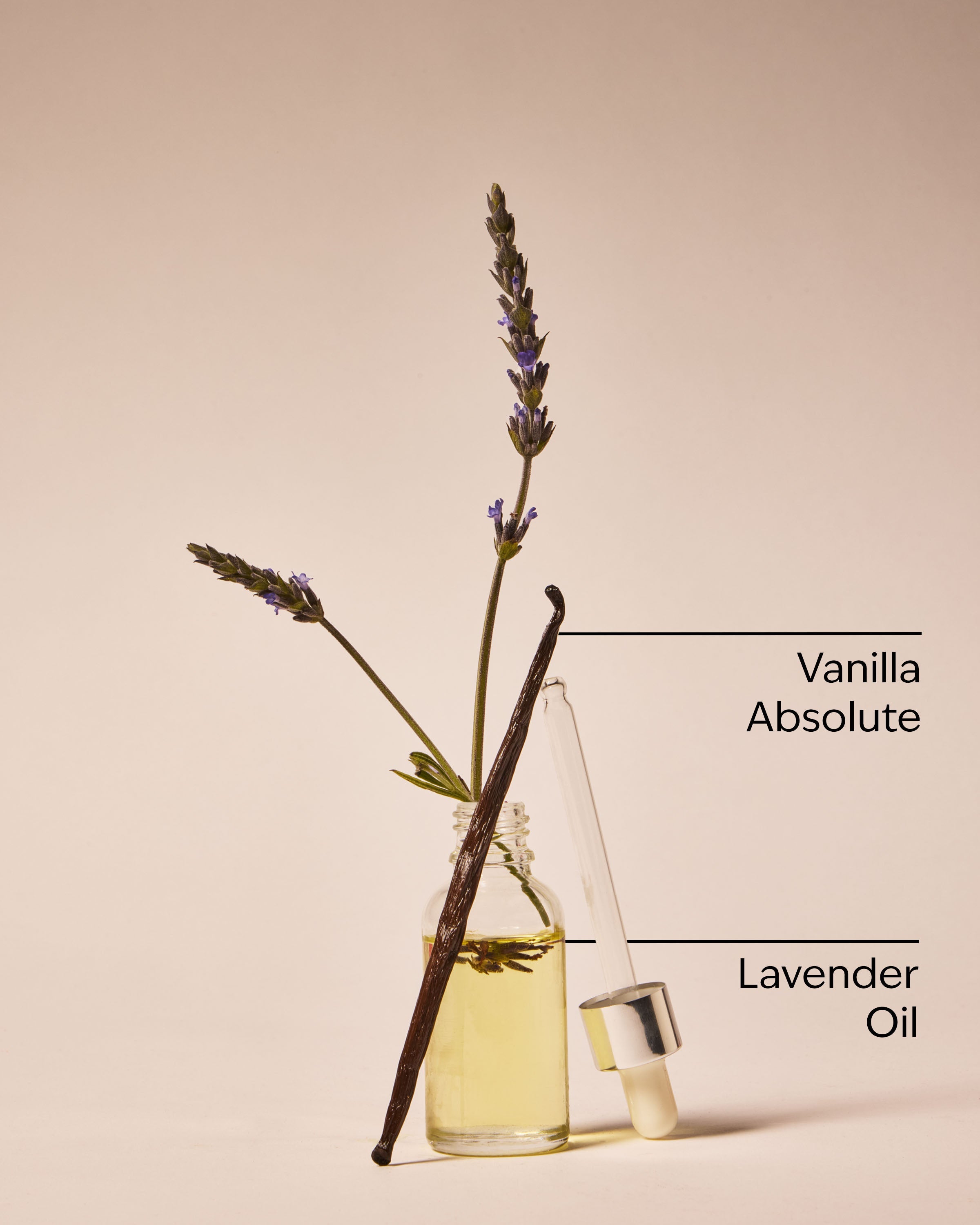 Lavender Vanilla Gift Set