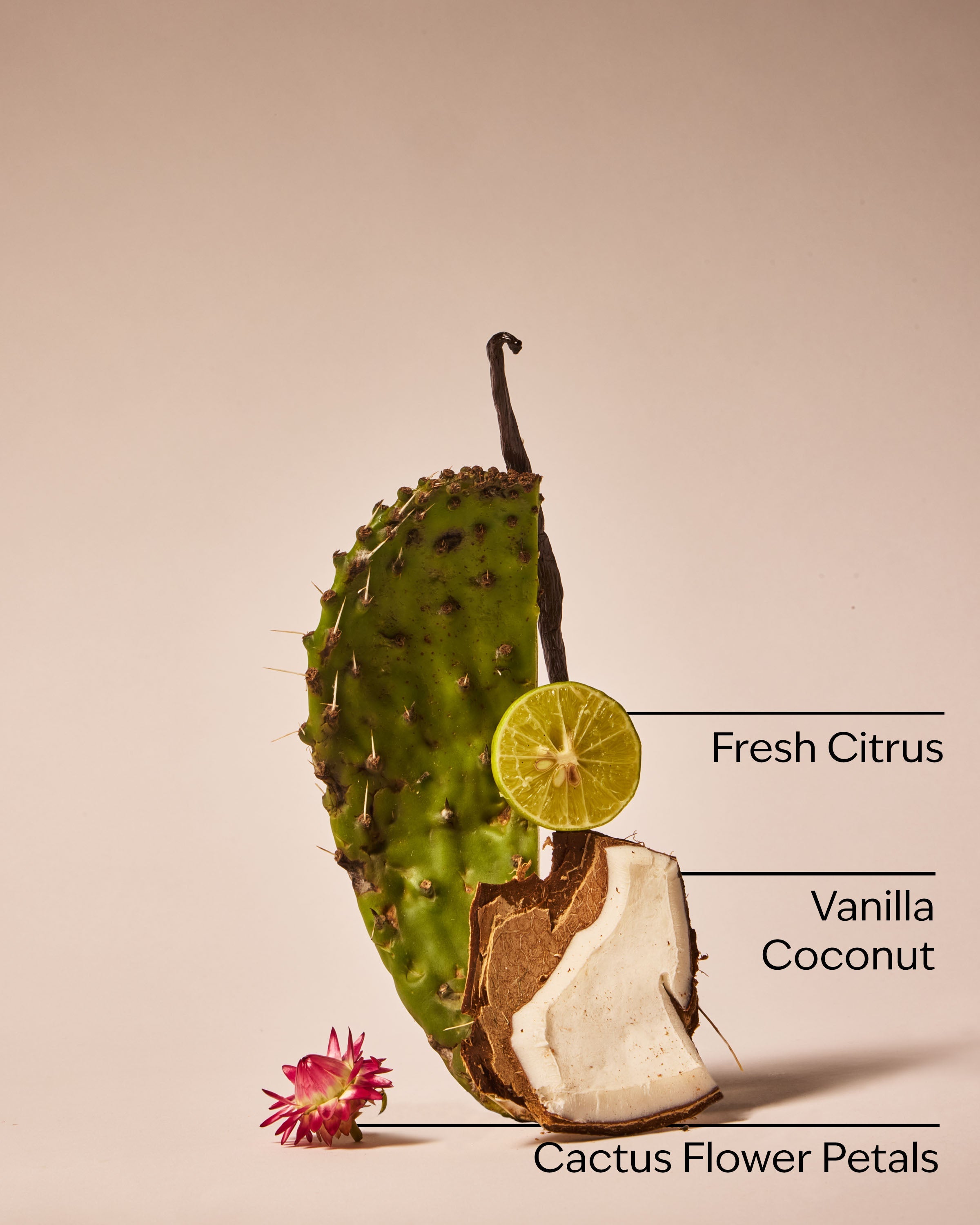Cactus Blossom Fragrance Booster