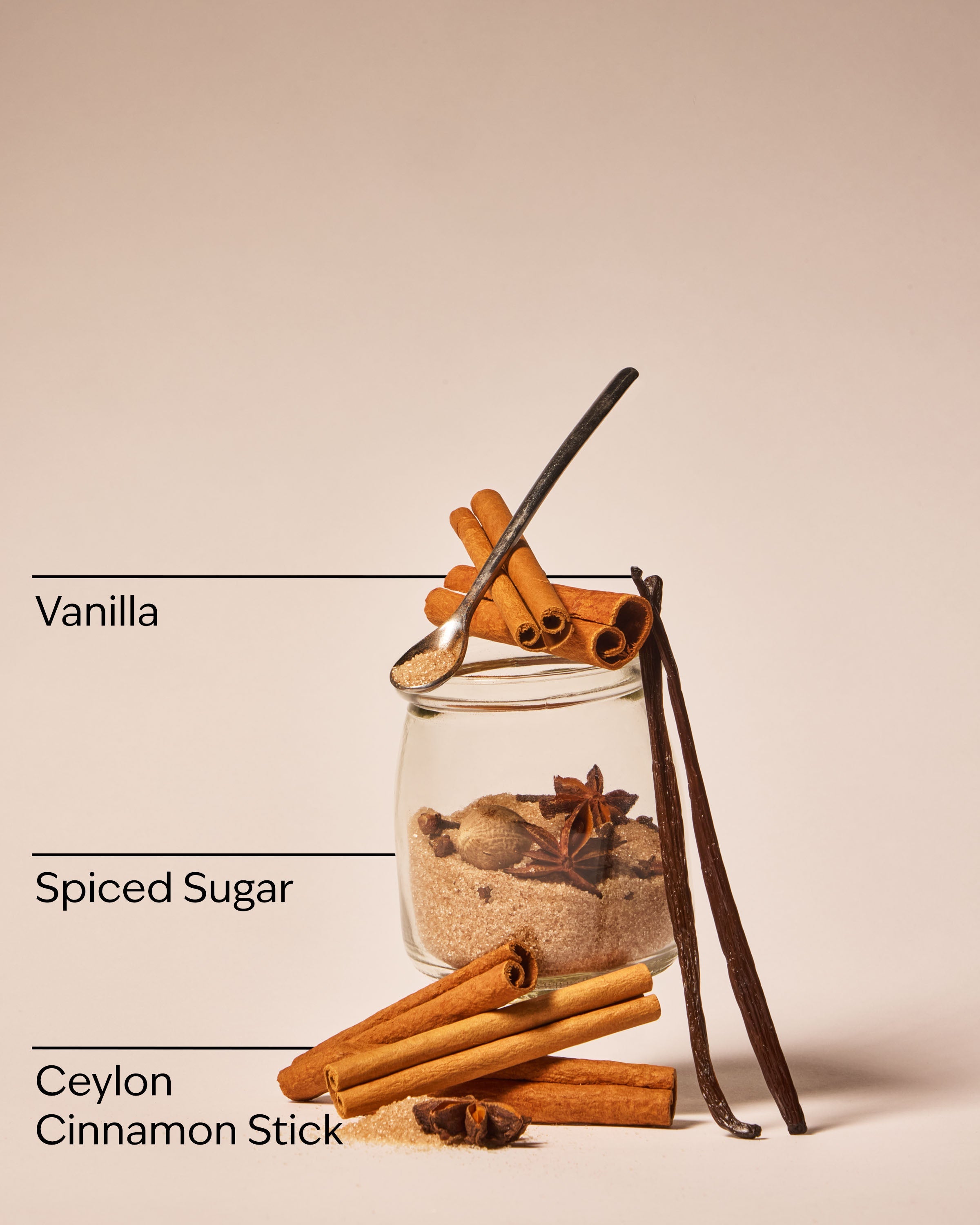 Cinnamon Stick Wallflowers Refills 2-Pack