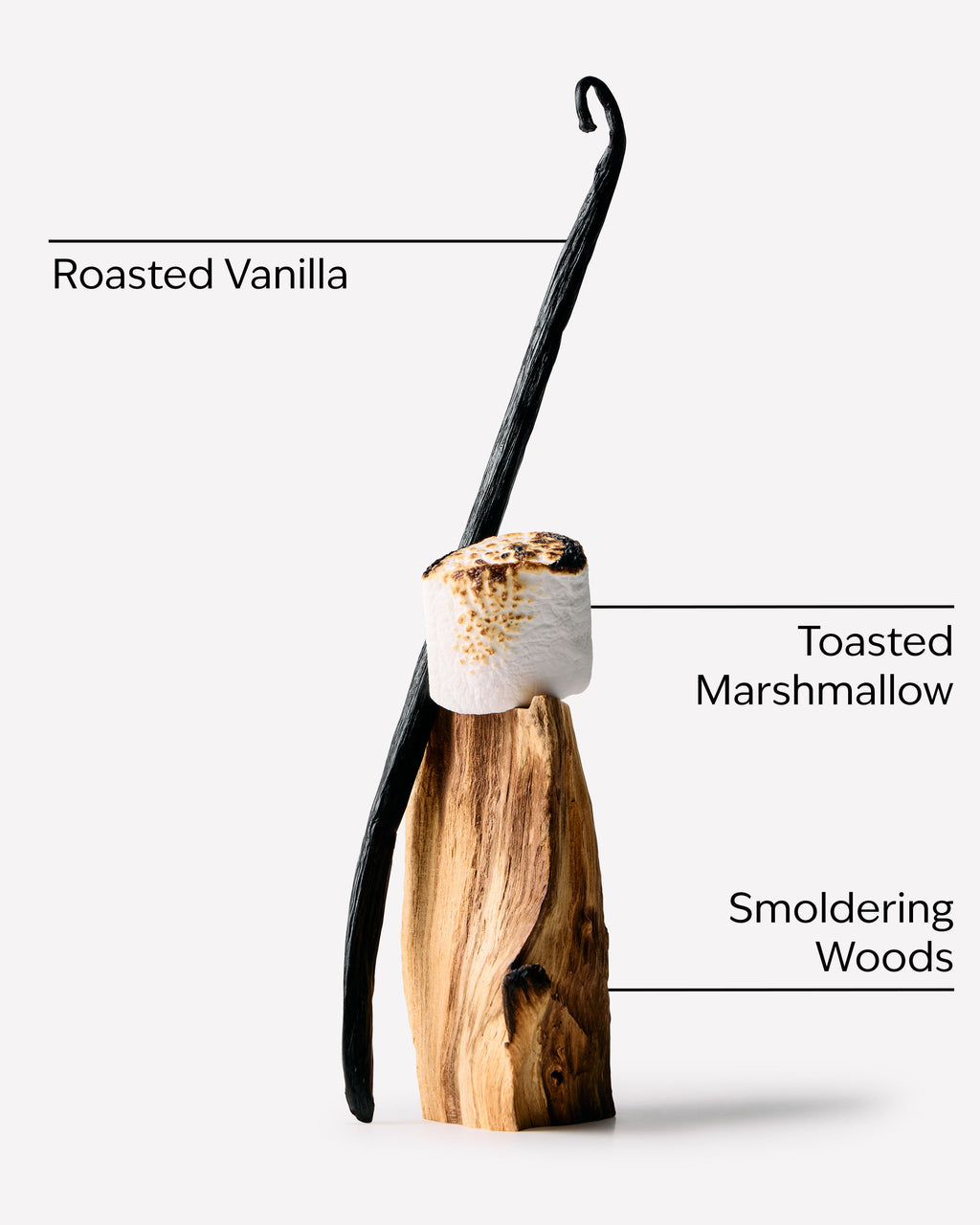 Marshmallow Fireside Wallflowers Fragrance Refill