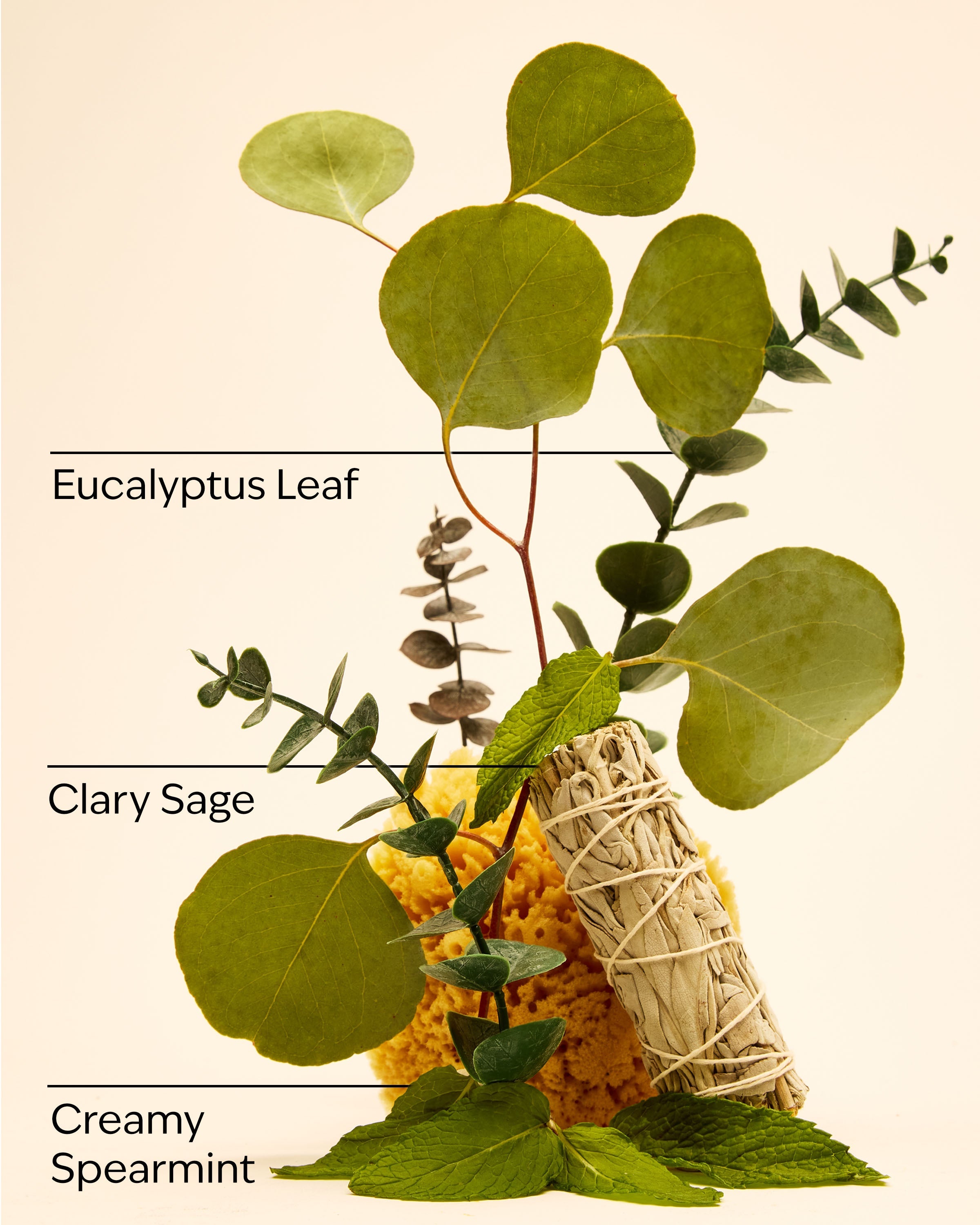 Eucalyptus Spearmint Hand Sanitizer Spray