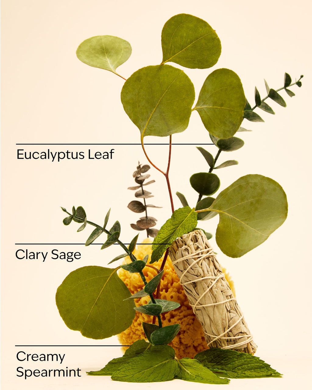 Eucalyptus Spearmint Hand Cream