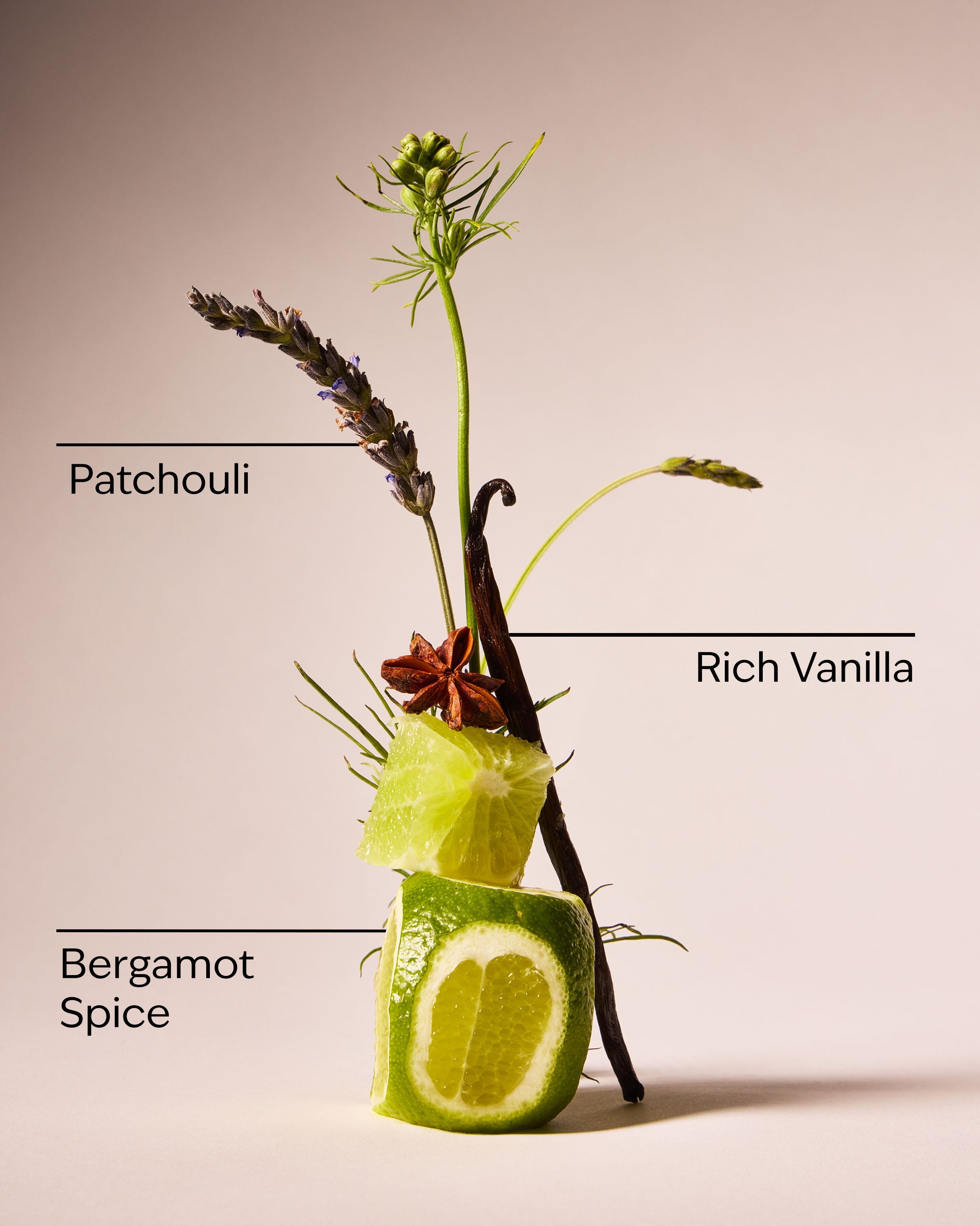 Vanilla Noir Cologne