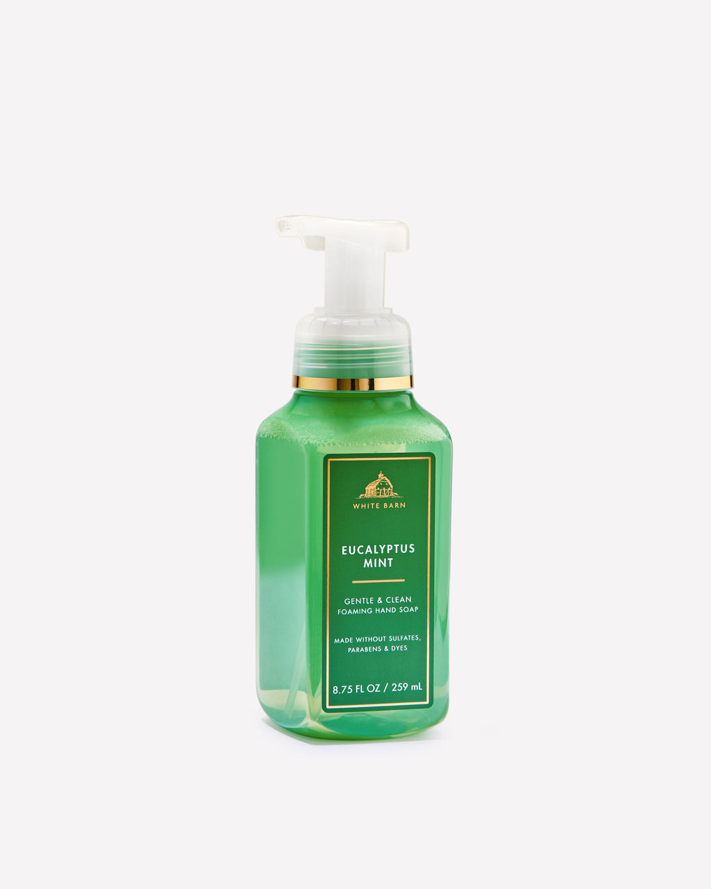 Eucalyptus Mint Gentle & Clean Foaming Hand Soap