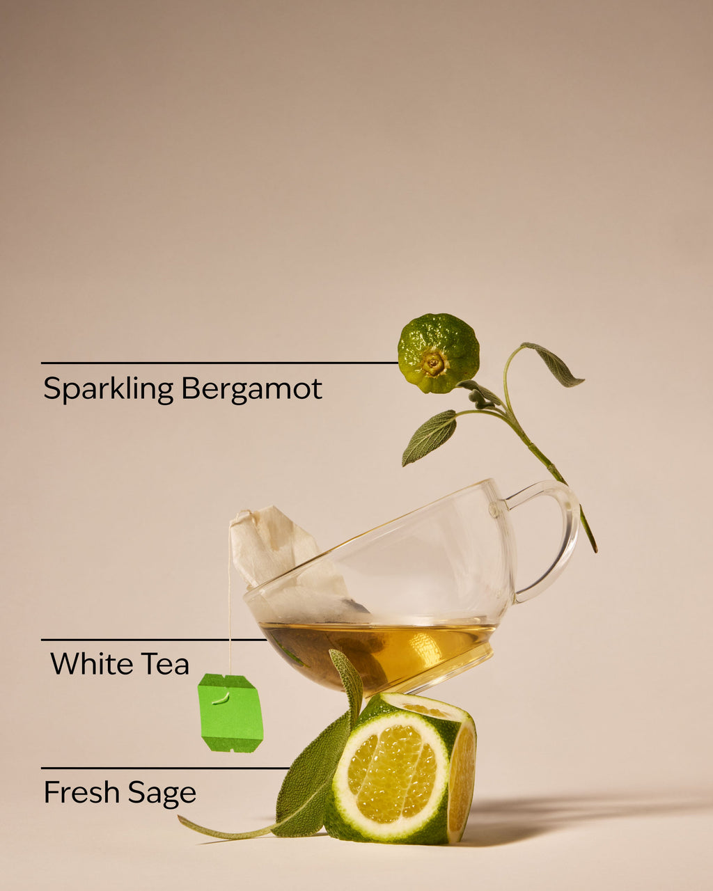 White Tea & Sage Gentle & Clean Foaming Hand Soap
