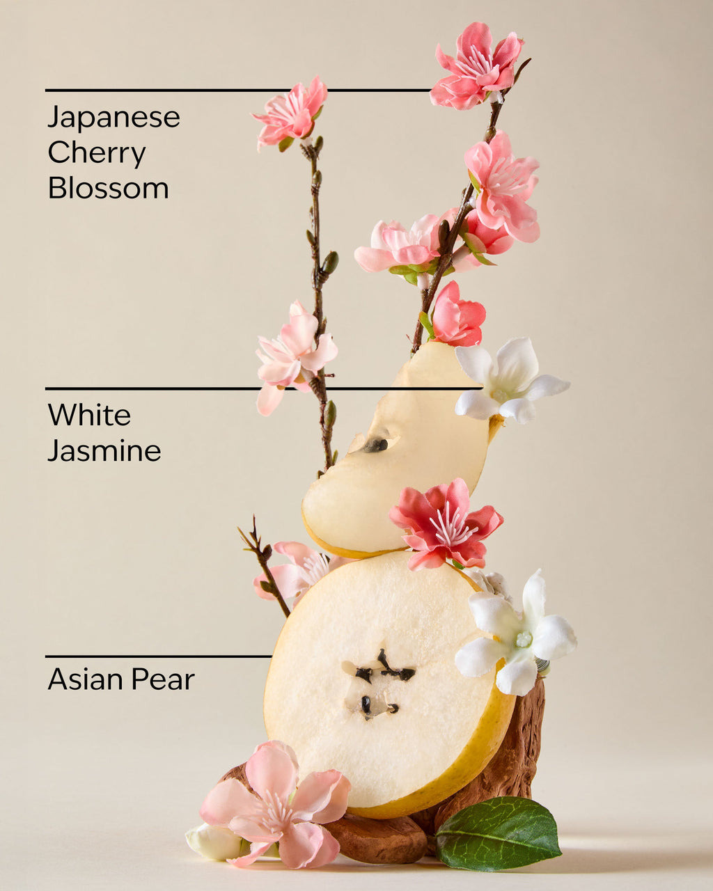 Japanese Cherry Blossom Hand Cream