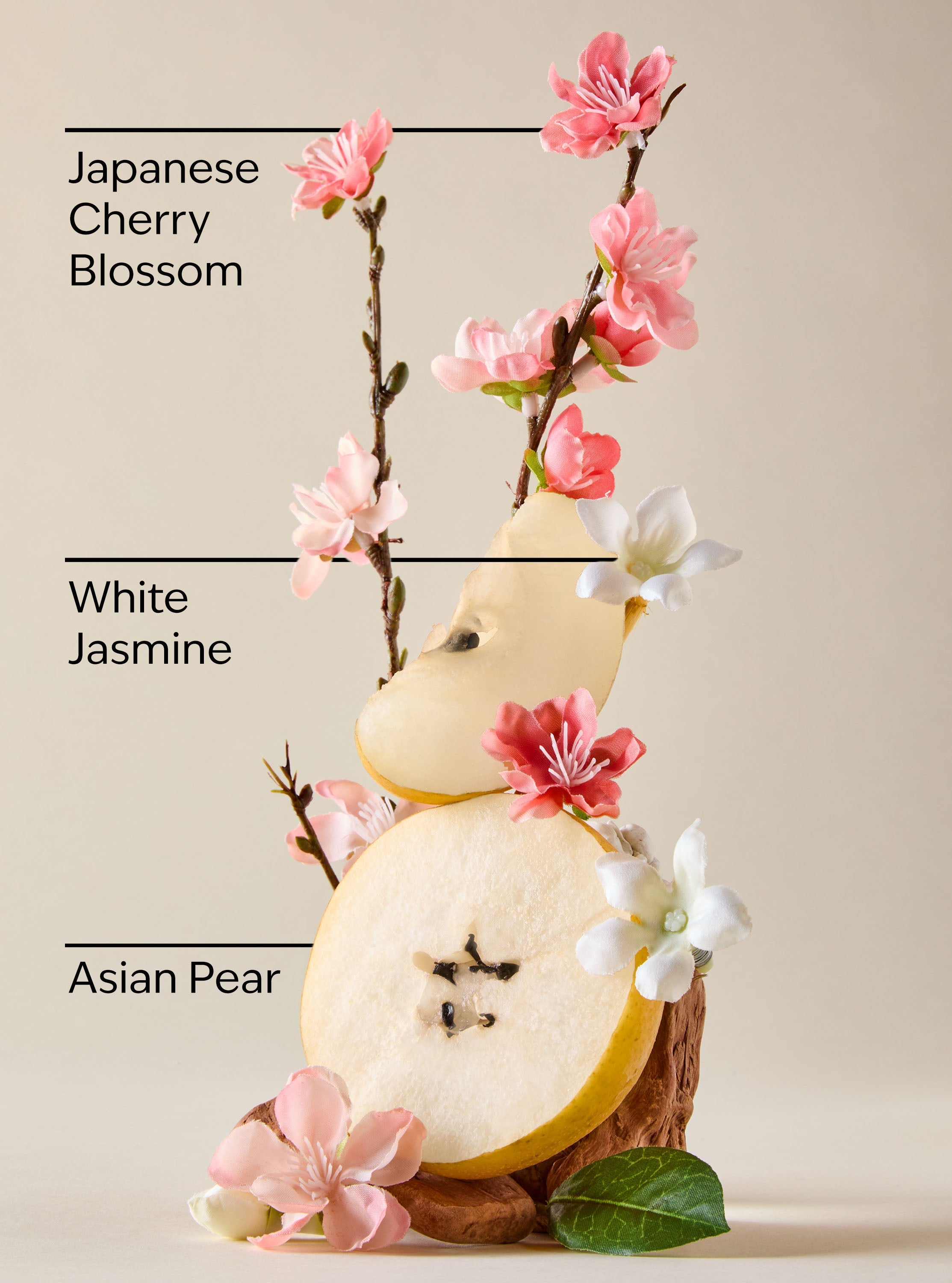 Japanese Cherry Blossom Creamy Body Scrub