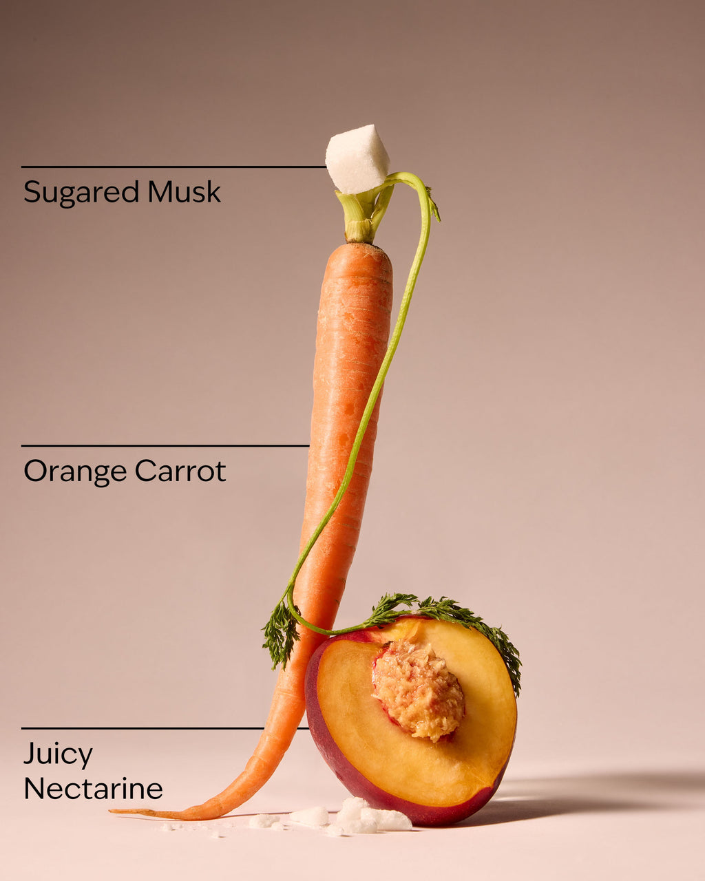 Carrot Charm Ultimate Hydration Body Cream
