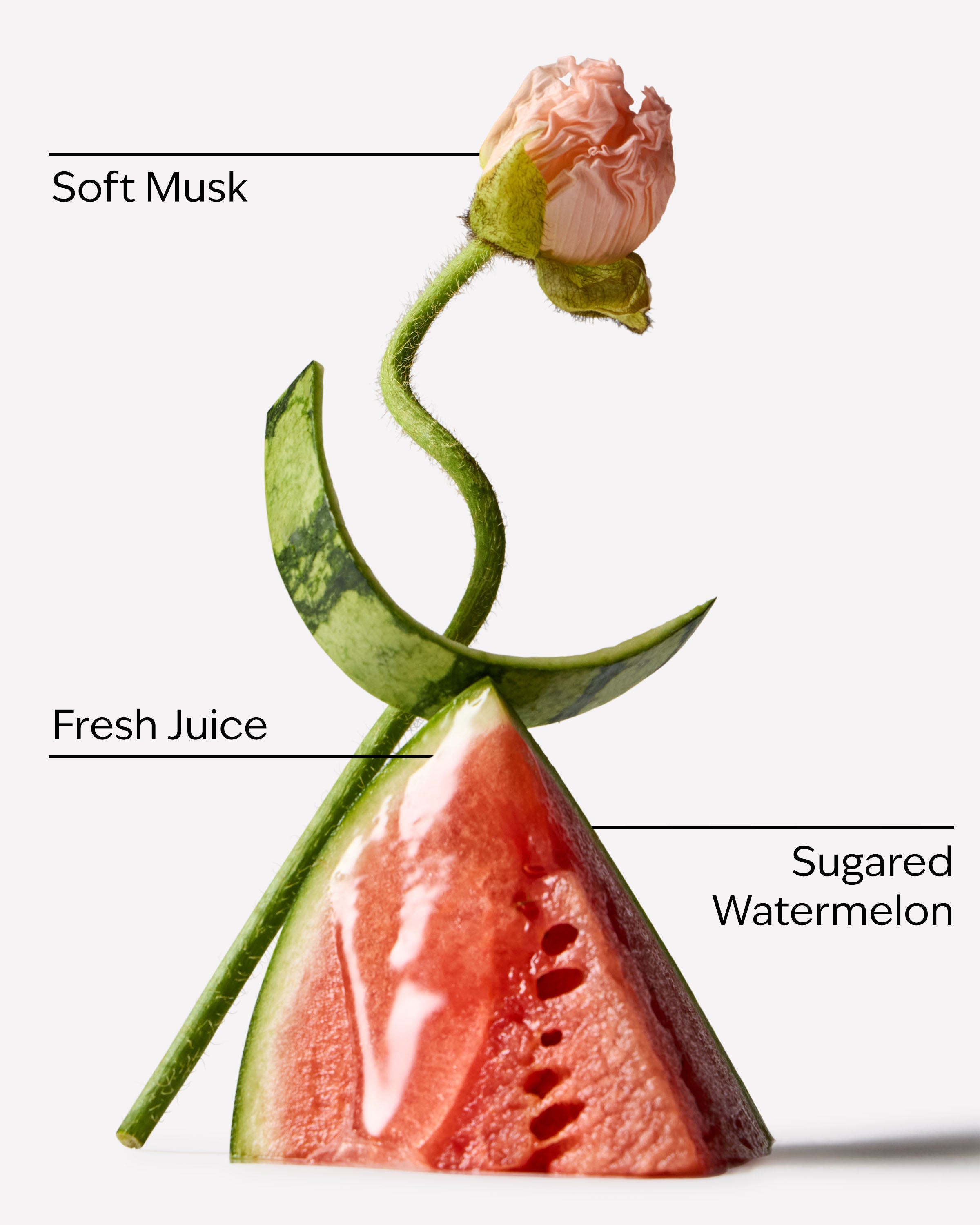 Watermelon Whirl Moisturizing Body Wash