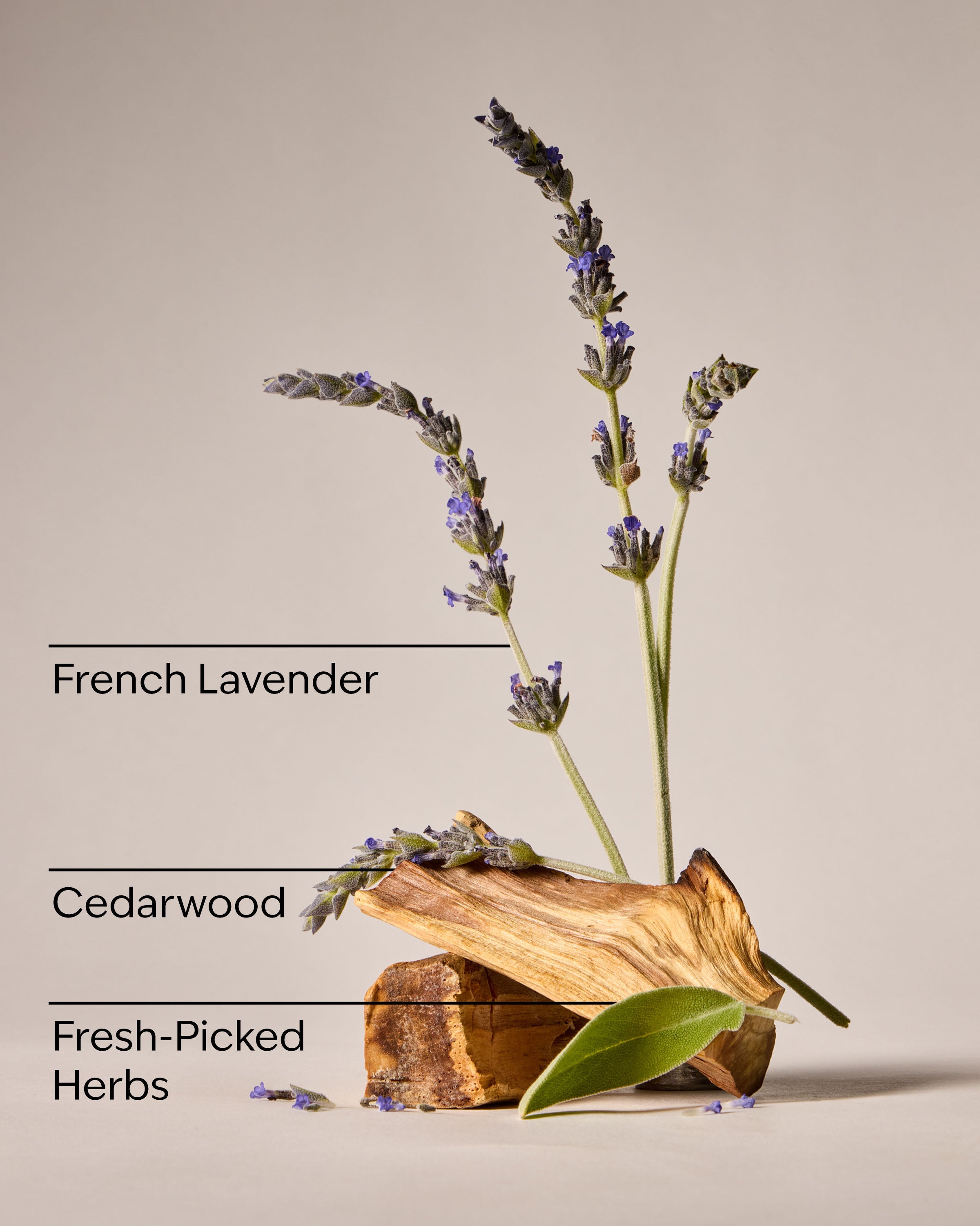 Kitchen Lavender Counter Spray