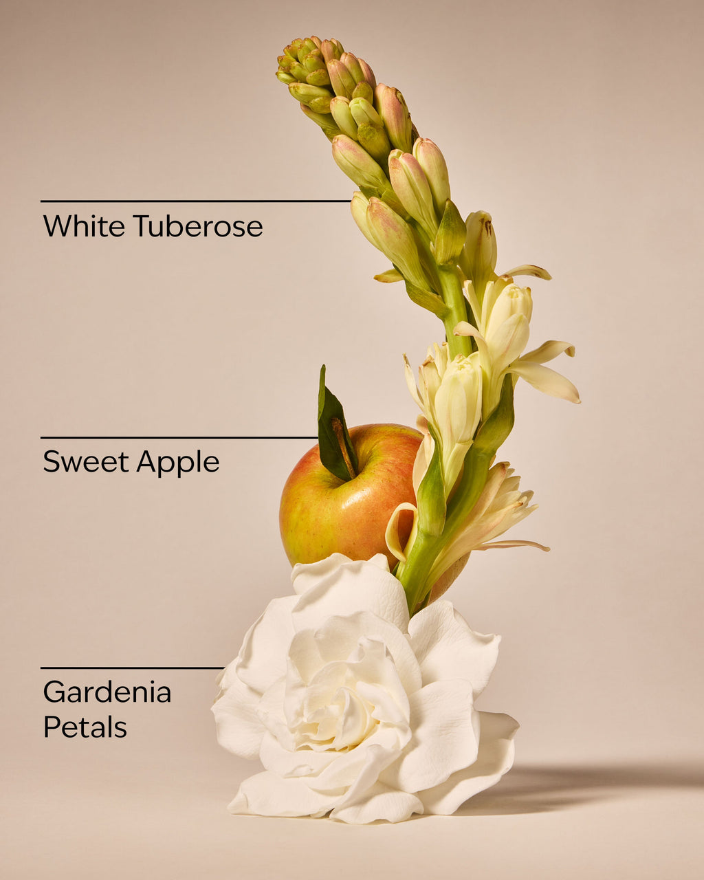White Gardenia 3-Wick Candle