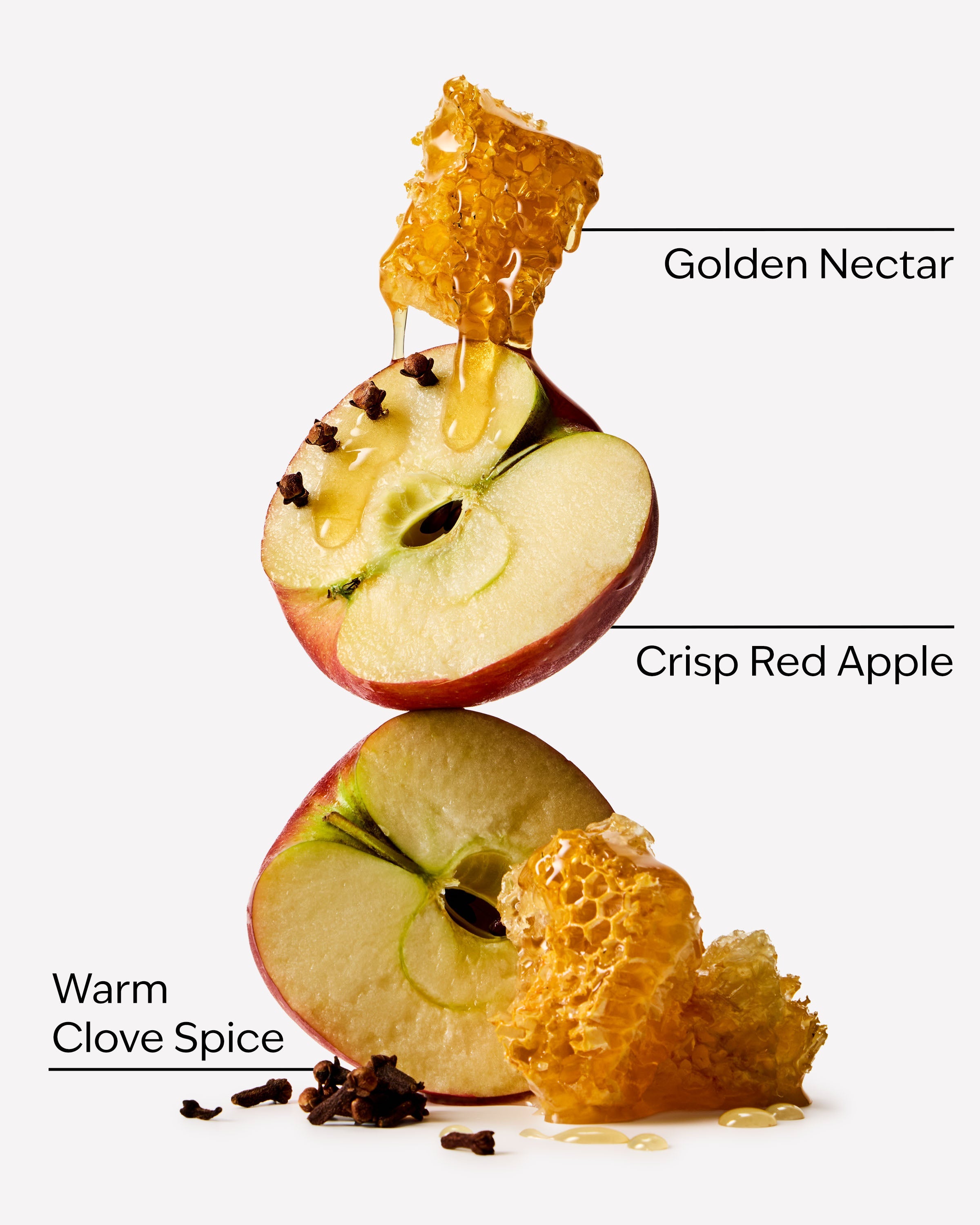 Leaves Hanging Fragrance Diffuser