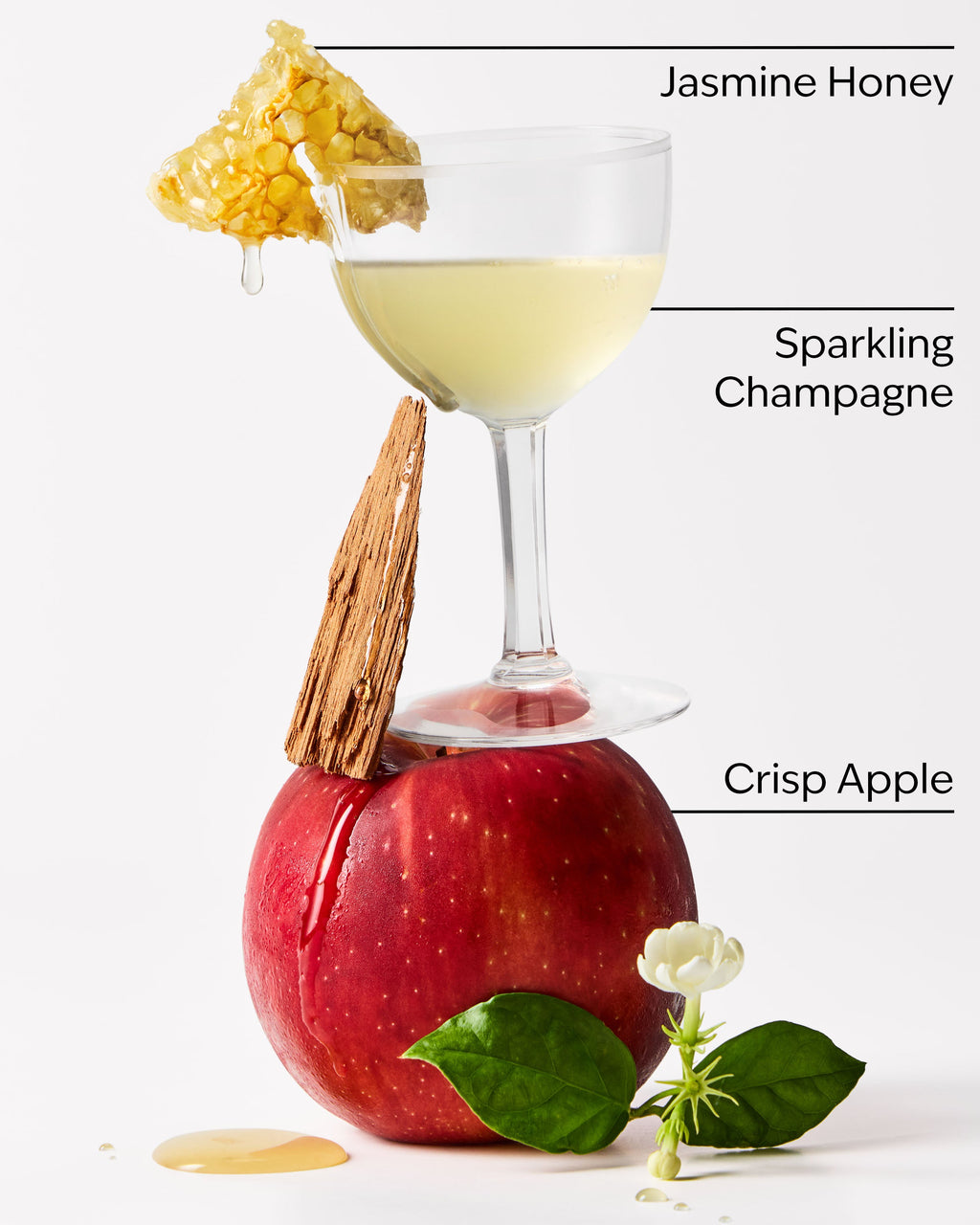 Champagne Apple & Honey Glossy Lip Balm