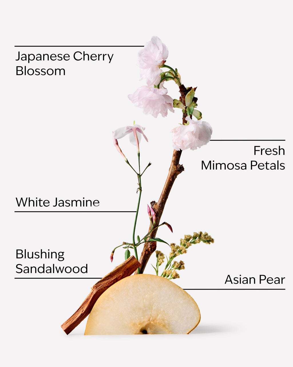 Japanese Cherry Blossom Fine Fragrance Mist